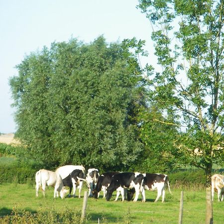 La Vallee Des Trois Monts Saint-Sylvestre-Cappel エクステリア 写真